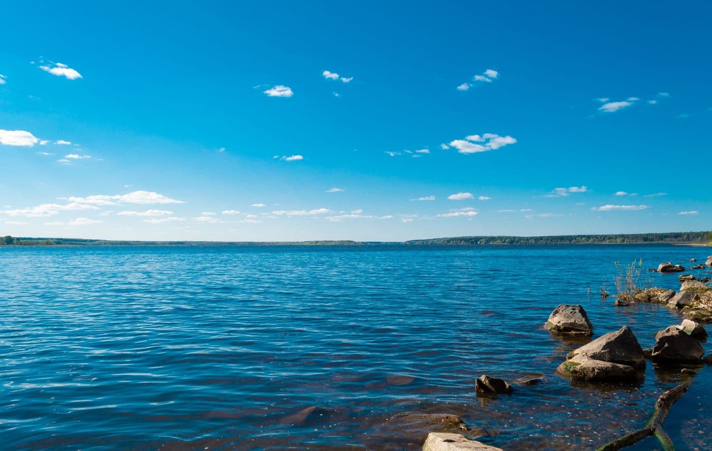 Calm forested lake shoreline in North Idaho under a blue sky